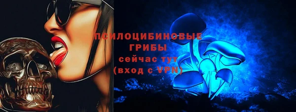 ПСИЛОЦИБИНОВЫЕ ГРИБЫ Карпинск