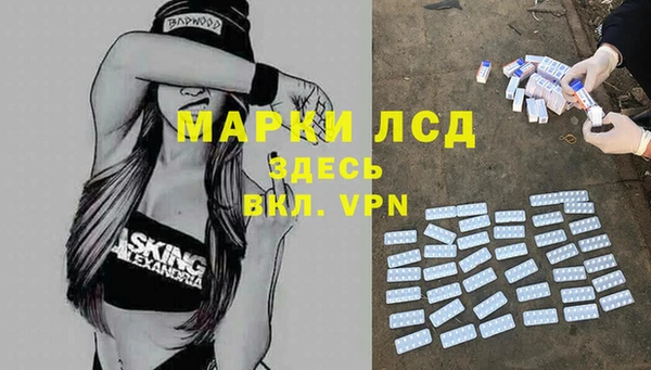 ПСИЛОЦИБИНОВЫЕ ГРИБЫ Карпинск
