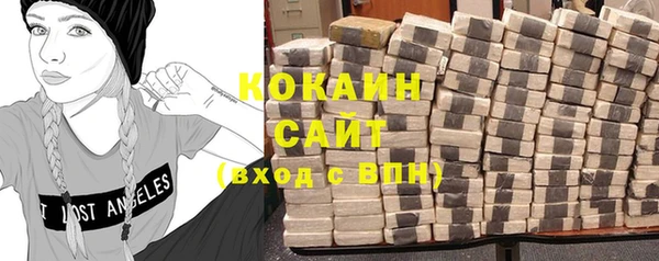 ПСИЛОЦИБИНОВЫЕ ГРИБЫ Карпинск